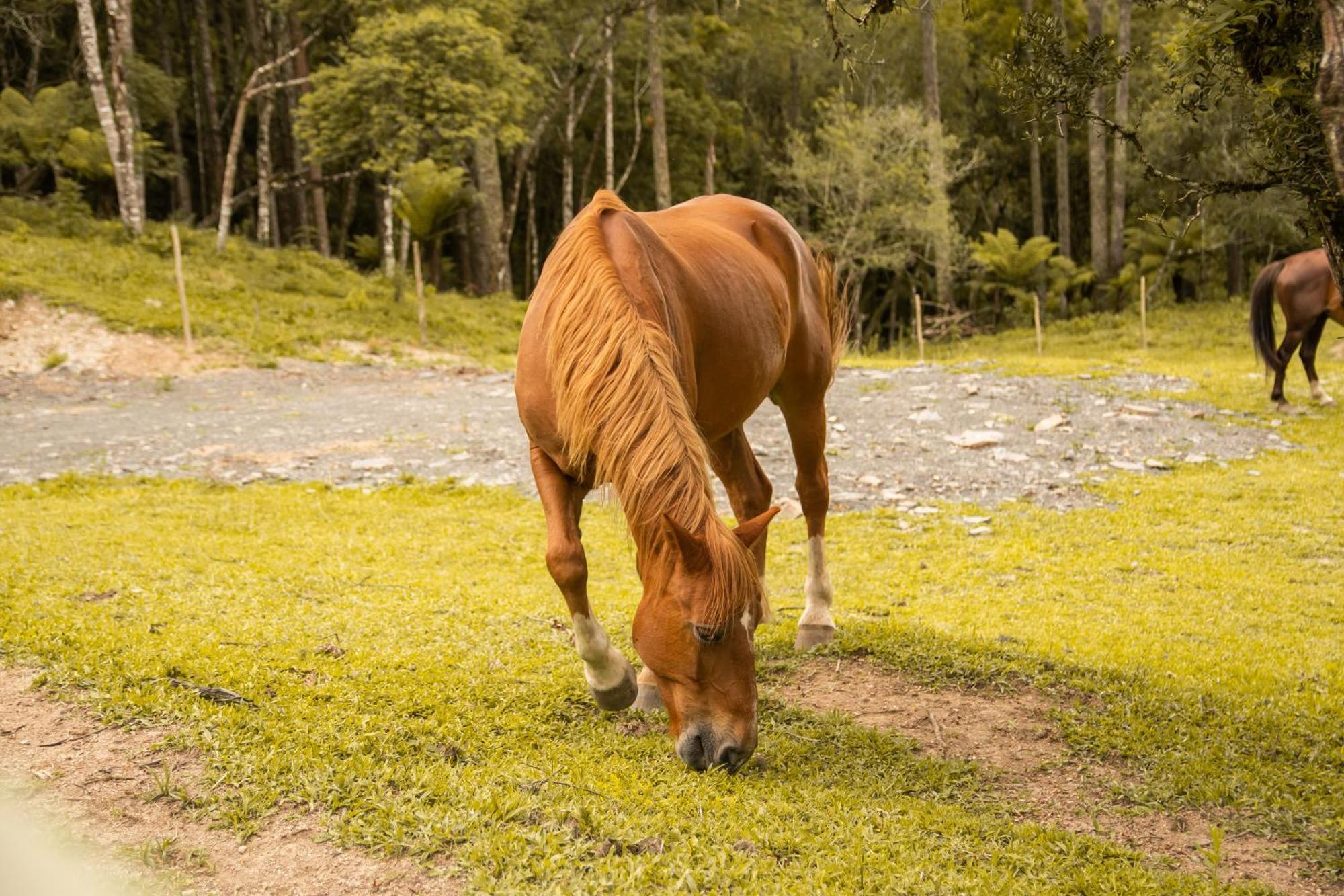 Cabana Com Hidromassagem Bom Retiro  Dış mekan fotoğraf