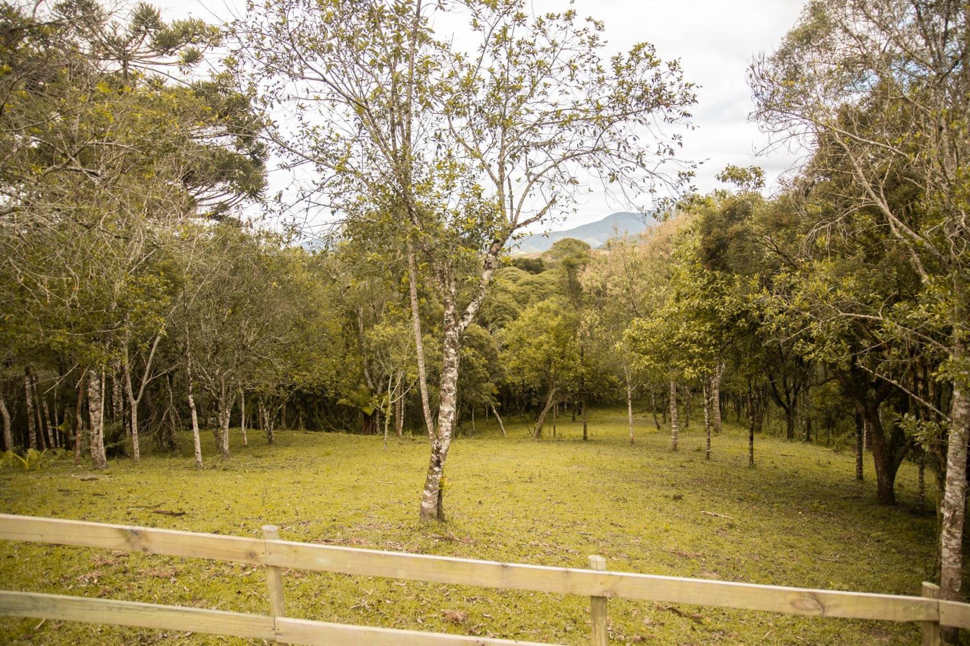 Cabana Com Hidromassagem Bom Retiro  Dış mekan fotoğraf